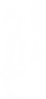 Instagram（インスタグラム）